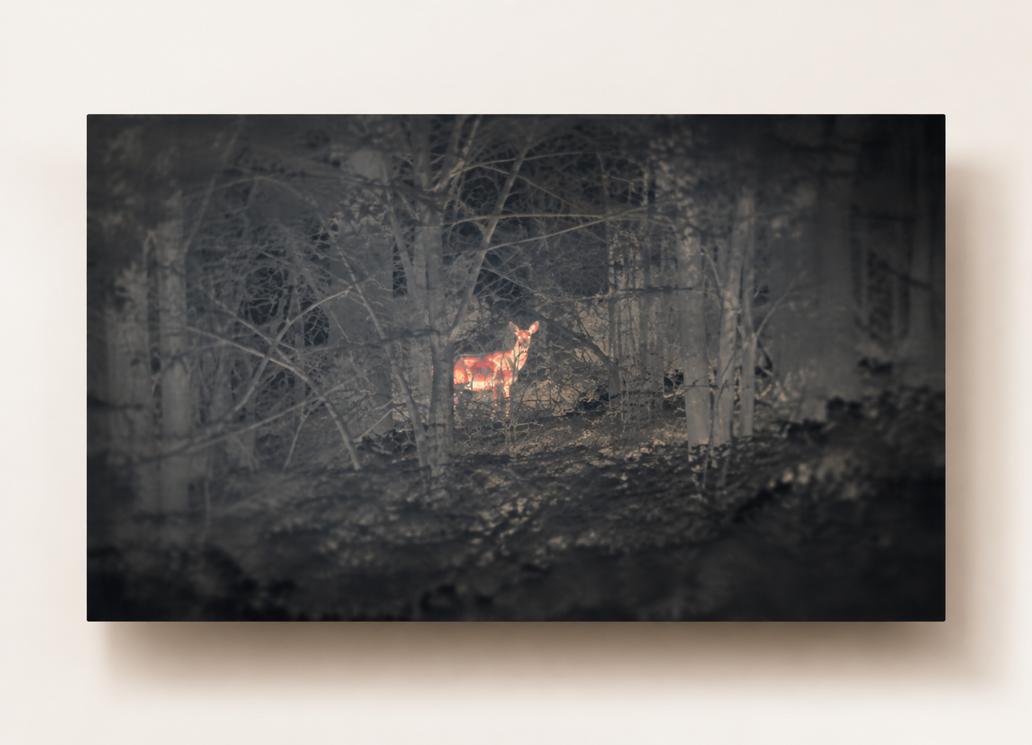 Thermal woodland scene showing a clearly resolved heat signature among detailed vegetation