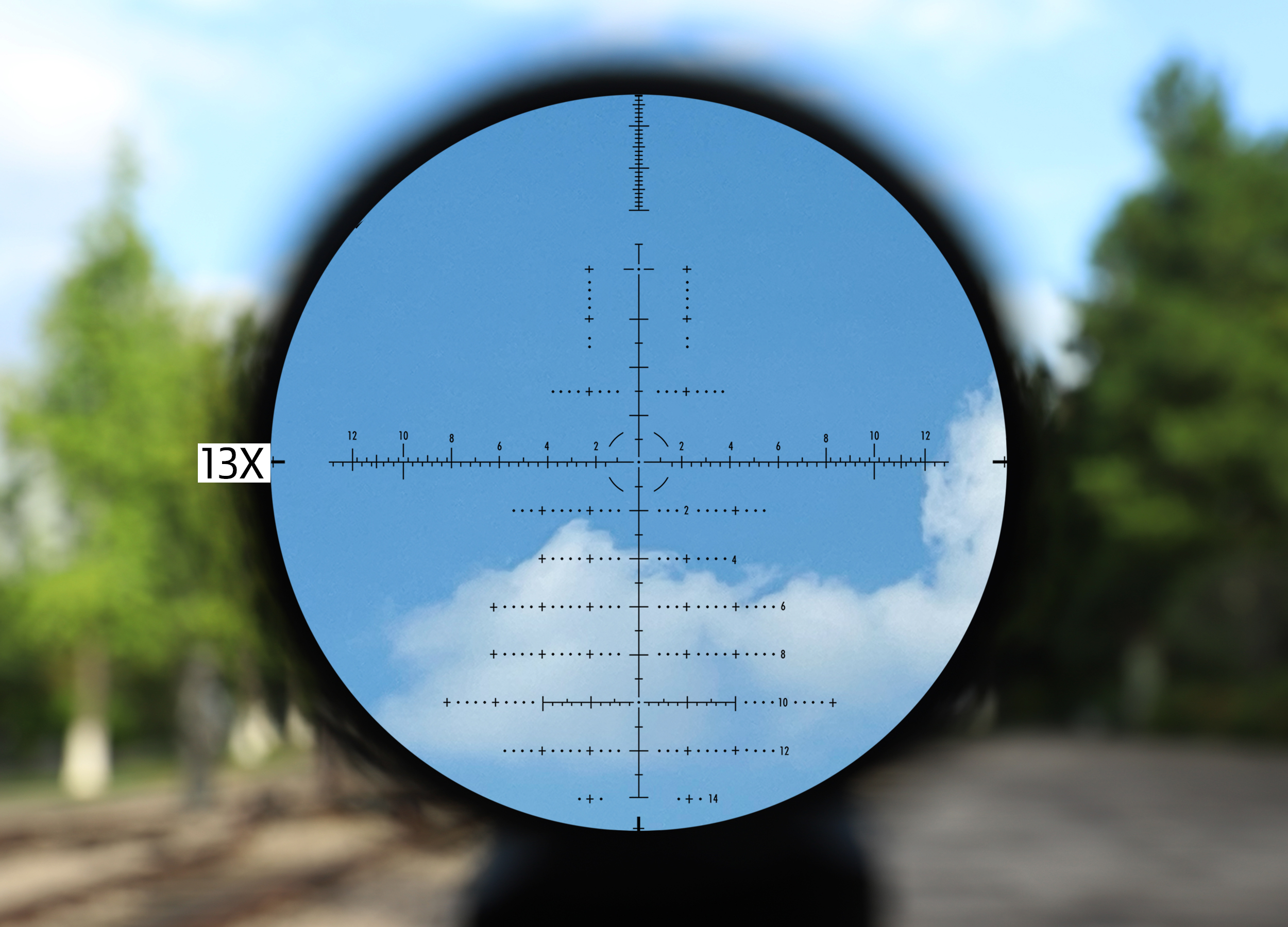 Optical riflescope reticle view