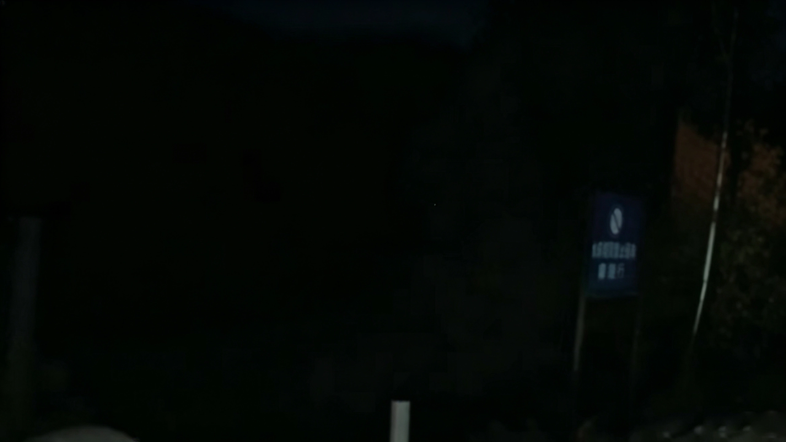 Dark outdoor scene as viewed without night vision