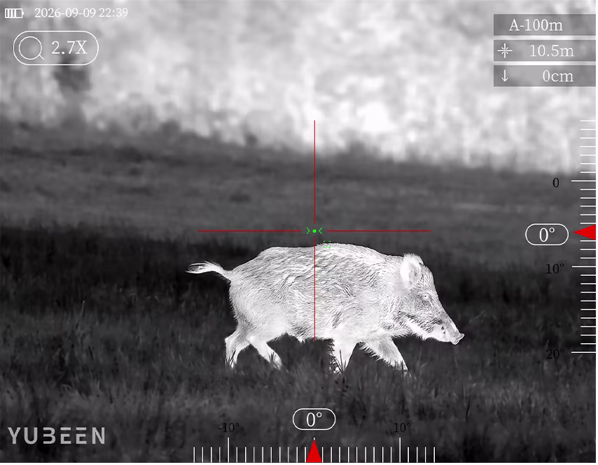YUBEEN GX55L thermal imaging display showing a wild boar with on-screen viewing information